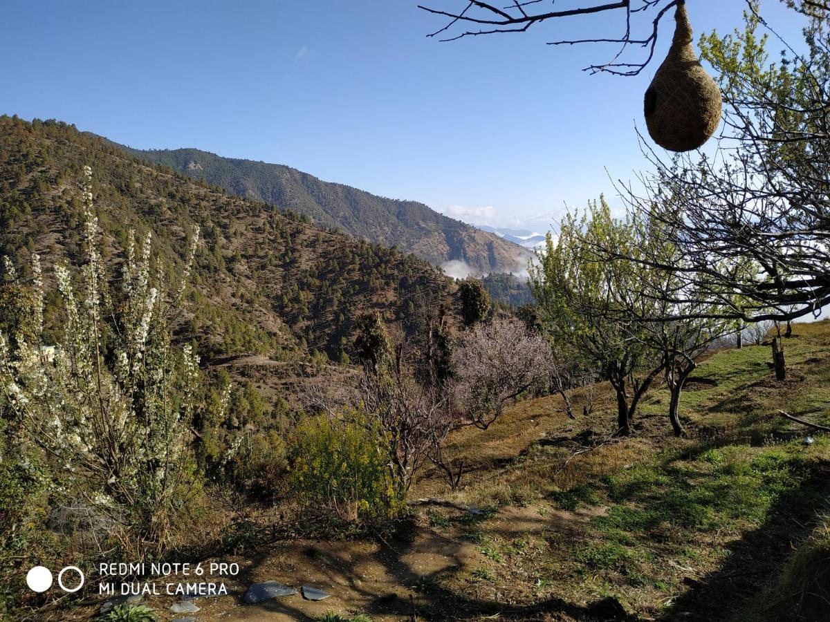 In Apple Estate Kanatal - Himalayan View Resort With Courteous Staff エクステリア 写真