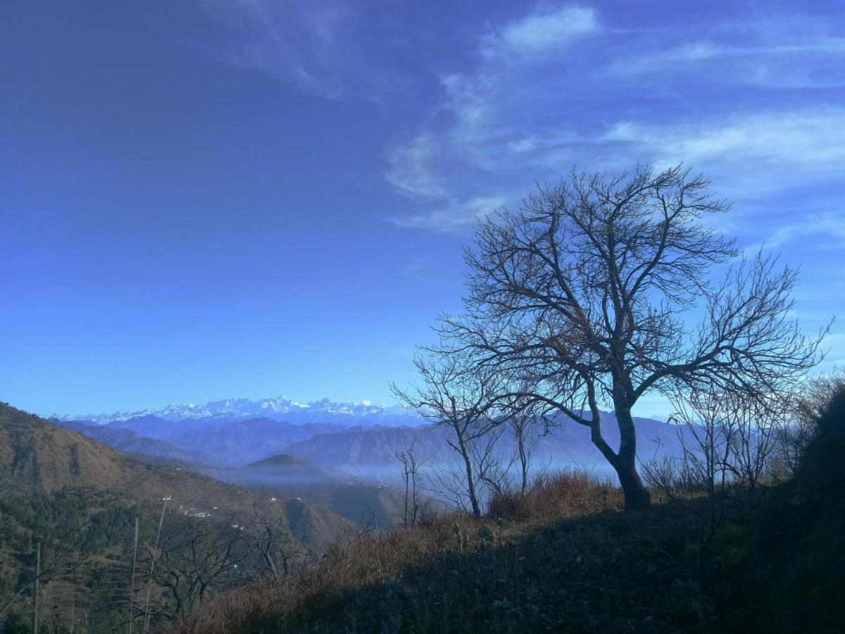 In Apple Estate Kanatal - Himalayan View Resort With Courteous Staff エクステリア 写真