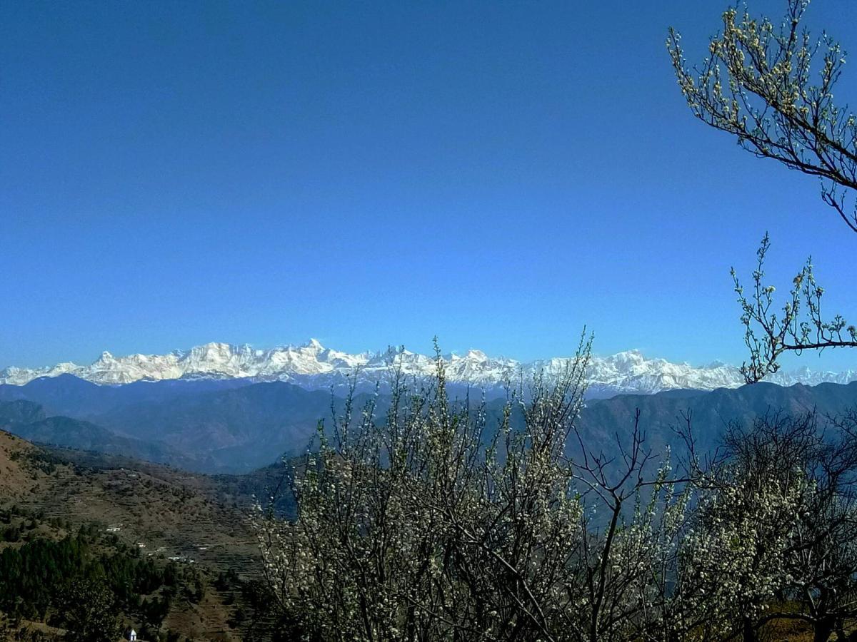 In Apple Estate Kanatal - Himalayan View Resort With Courteous Staff エクステリア 写真