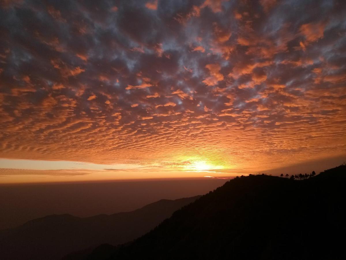 In Apple Estate Kanatal - Himalayan View Resort With Courteous Staff エクステリア 写真