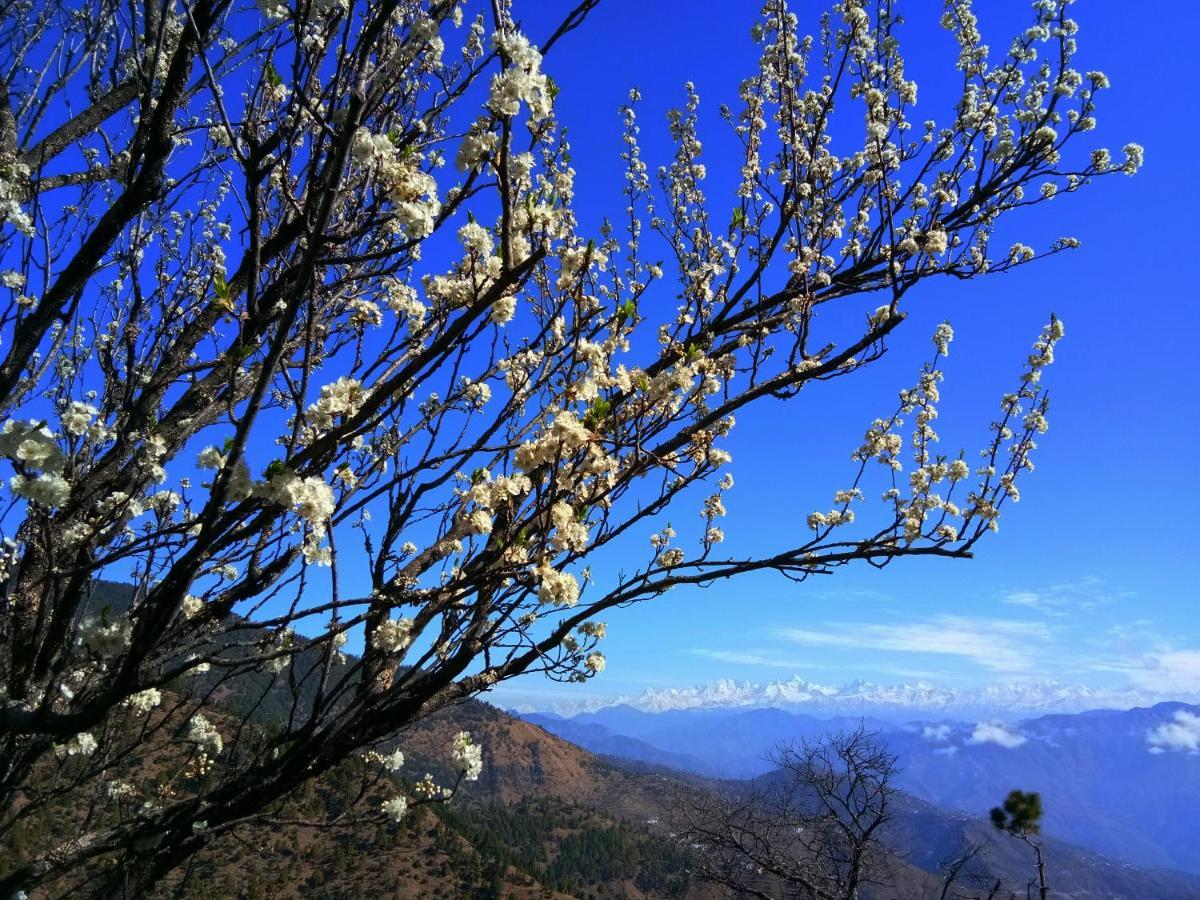 In Apple Estate Kanatal - Himalayan View Resort With Courteous Staff エクステリア 写真