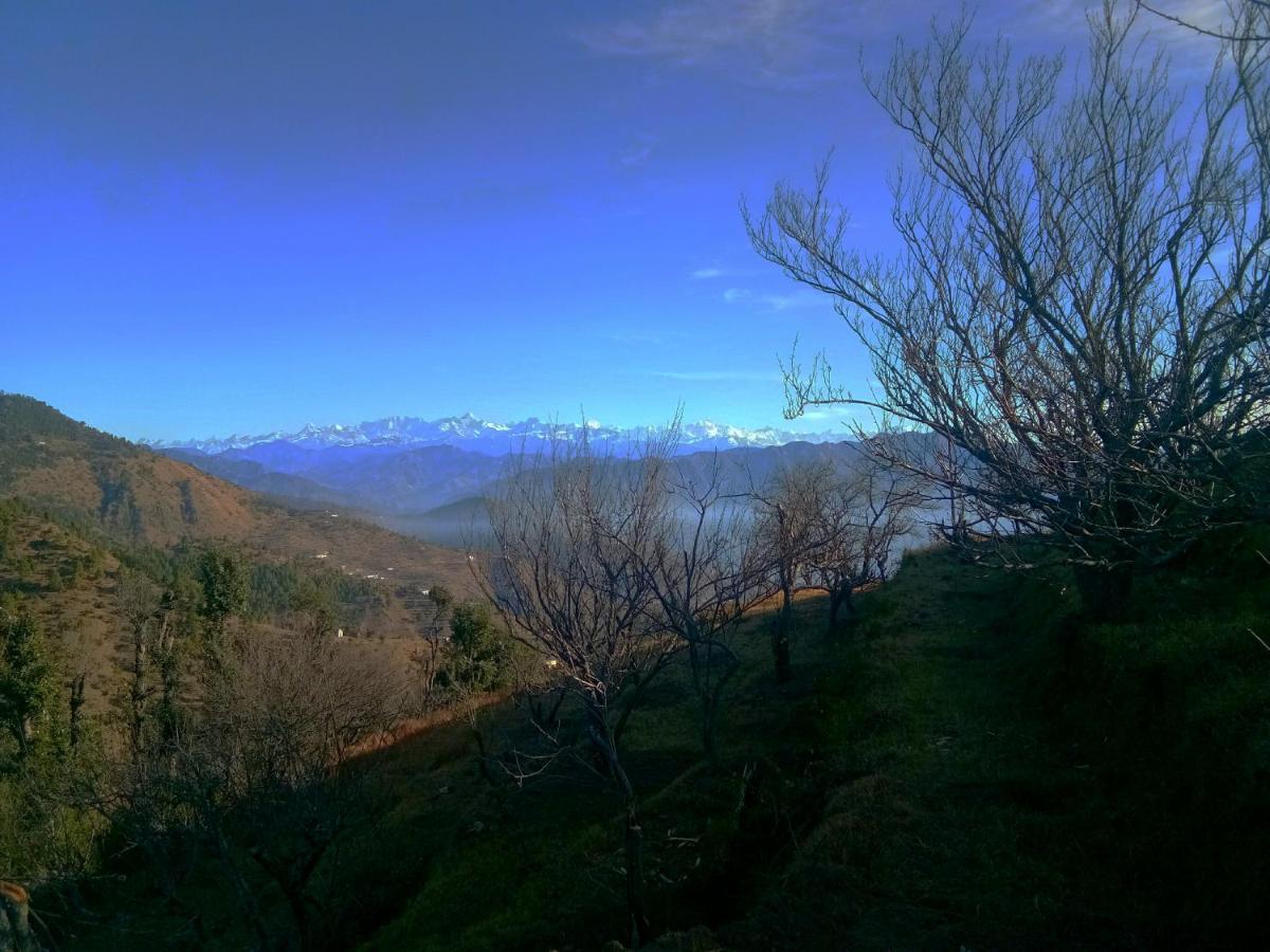 In Apple Estate Kanatal - Himalayan View Resort With Courteous Staff エクステリア 写真